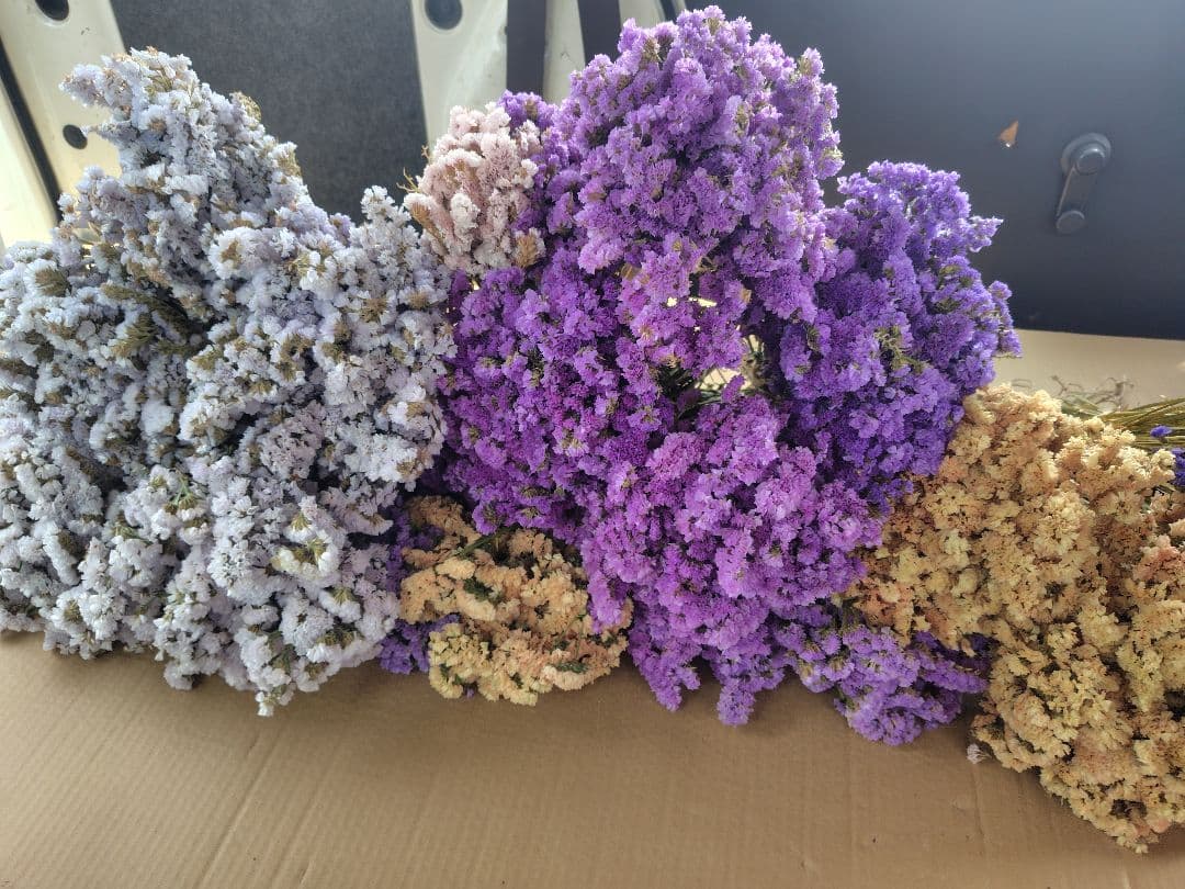 ex46jp様　おまとめ。①②ドライフラワー 紫 白 ベージュ 複数束　大量。