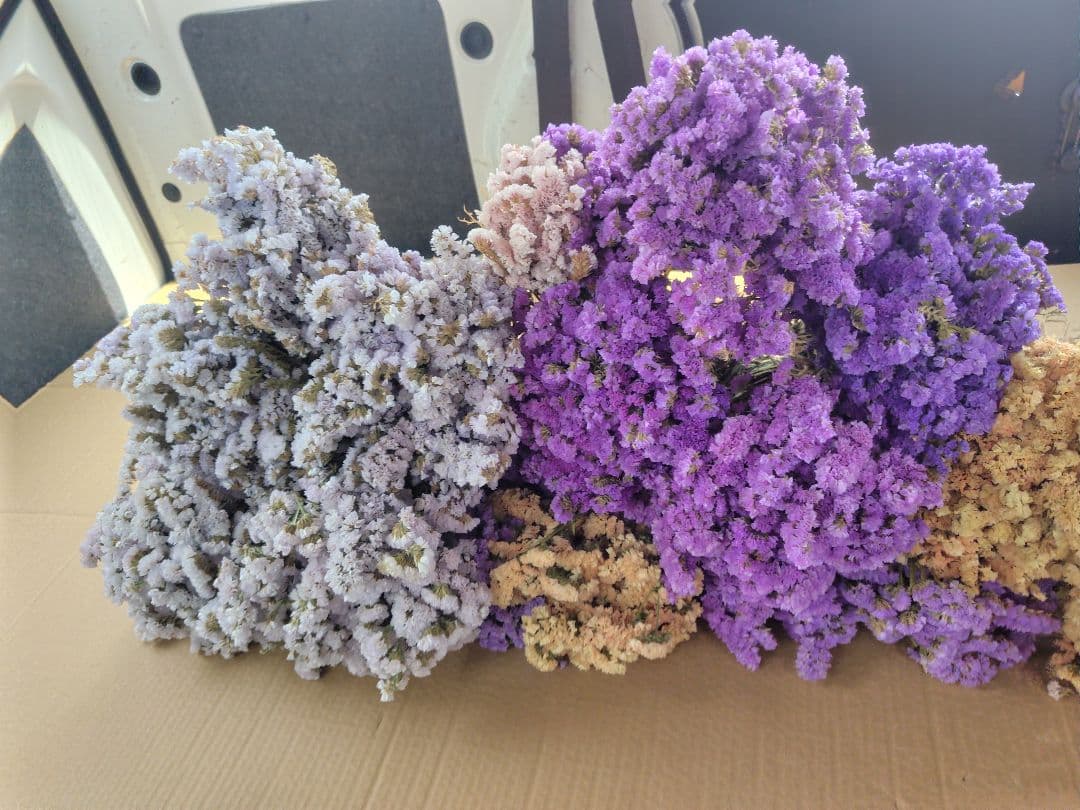 ex46jp様　おまとめ。①②ドライフラワー 紫 白 ベージュ 複数束　大量。