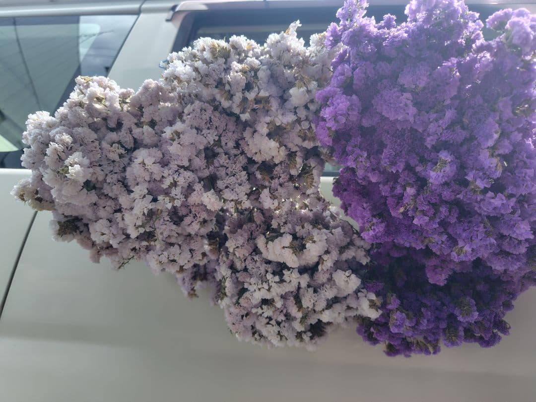 ex46jp様　おまとめ。①②ドライフラワー 紫 白 ベージュ 複数束　大量。