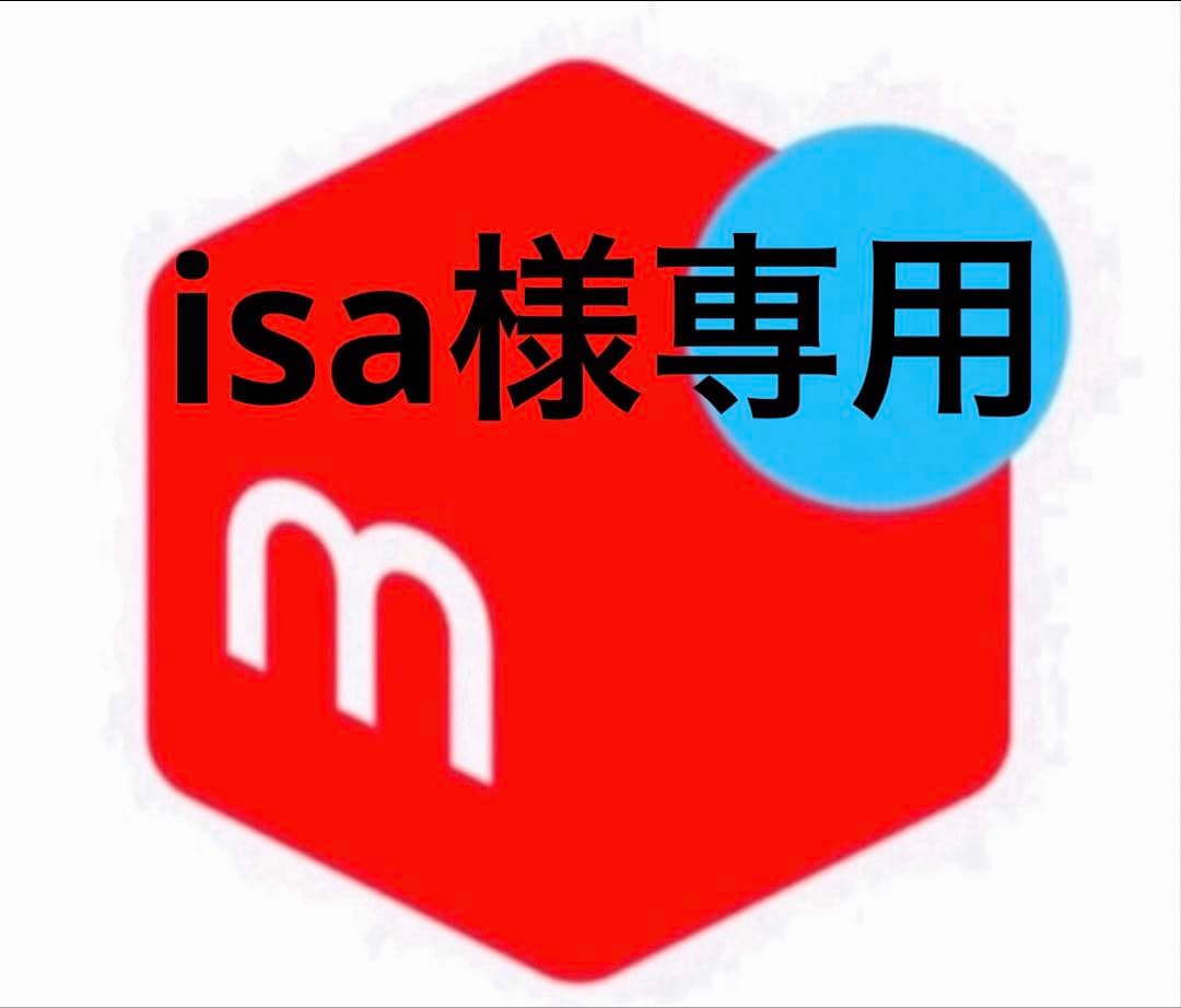 その他 isa
