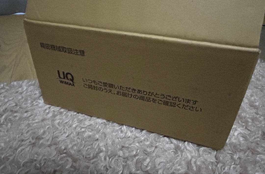 【25年3月購入】Speed Wi-Fi  5G L13