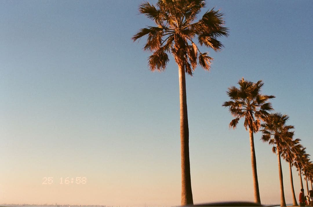 Canon EOS10QD フィルムカメラ