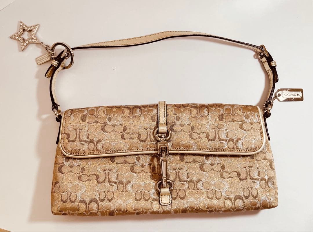 コーチ　アクセサリーポーチ　ワンショルダーバッグ　ミニバッグ