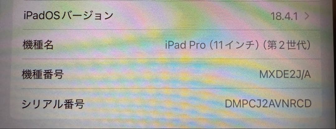 iPad Pro (11インチ) 第2世代 本体 Wi-Fiモデル