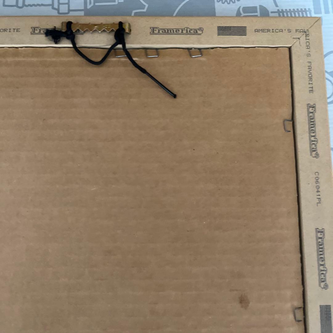 イチロー　2006年　WBC 優勝　ダブルフォト