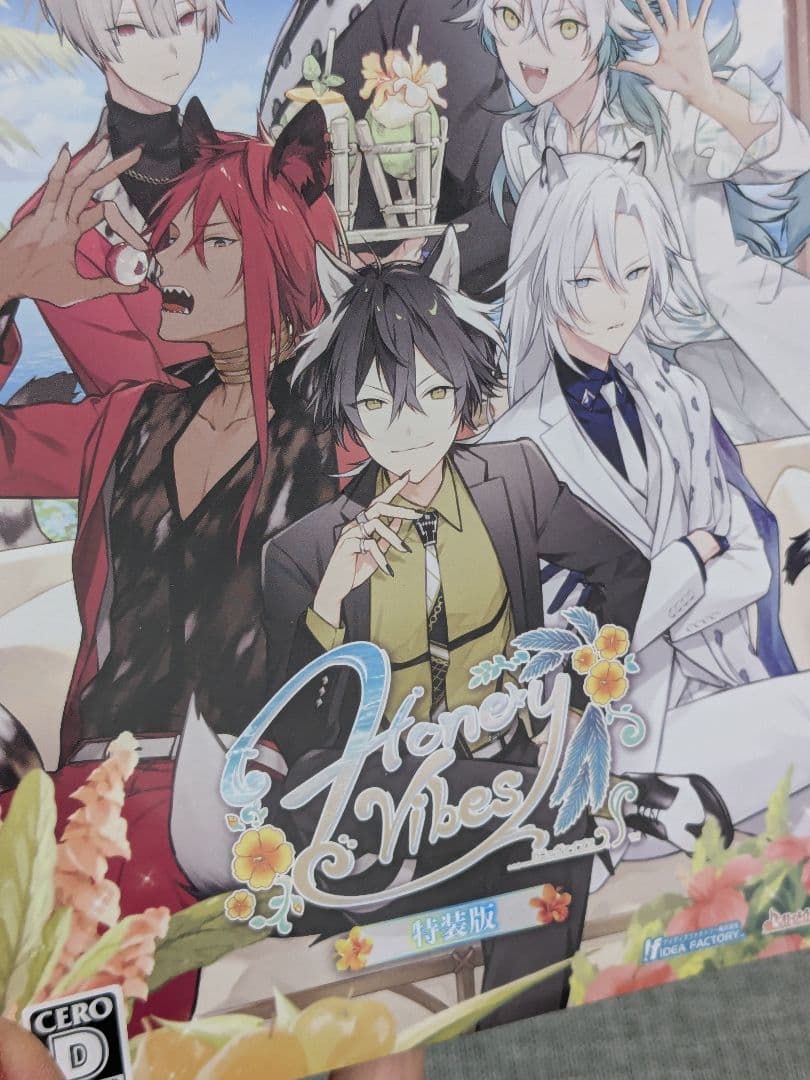 特装版 Honey Vibes Nintendo Switch 特典付き 未開封