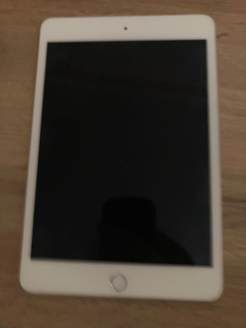 Apple iPad mini 5シルバー 本体　第五世代