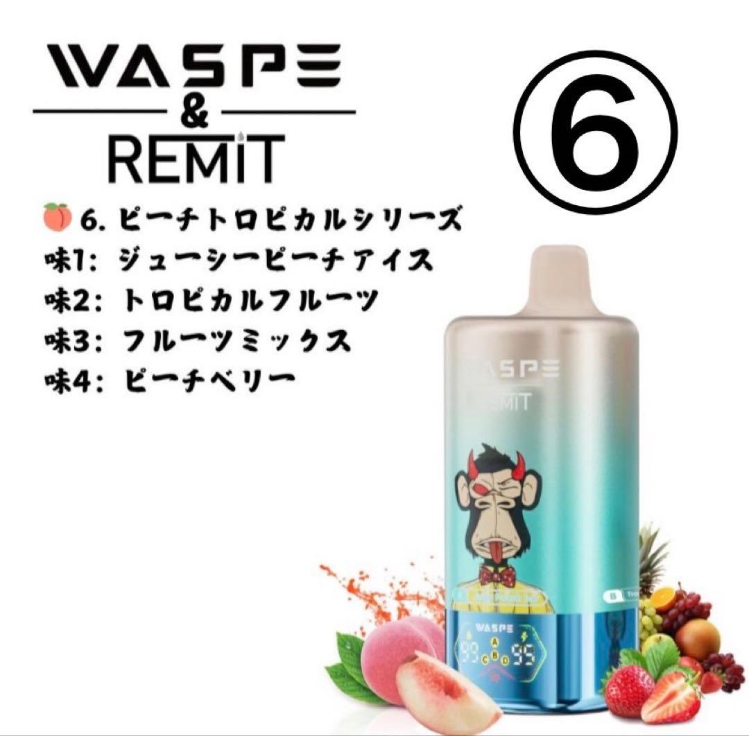 りくちゃんぬ様用　WESPE10万②&⑥