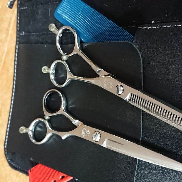 光 シザーとセニング