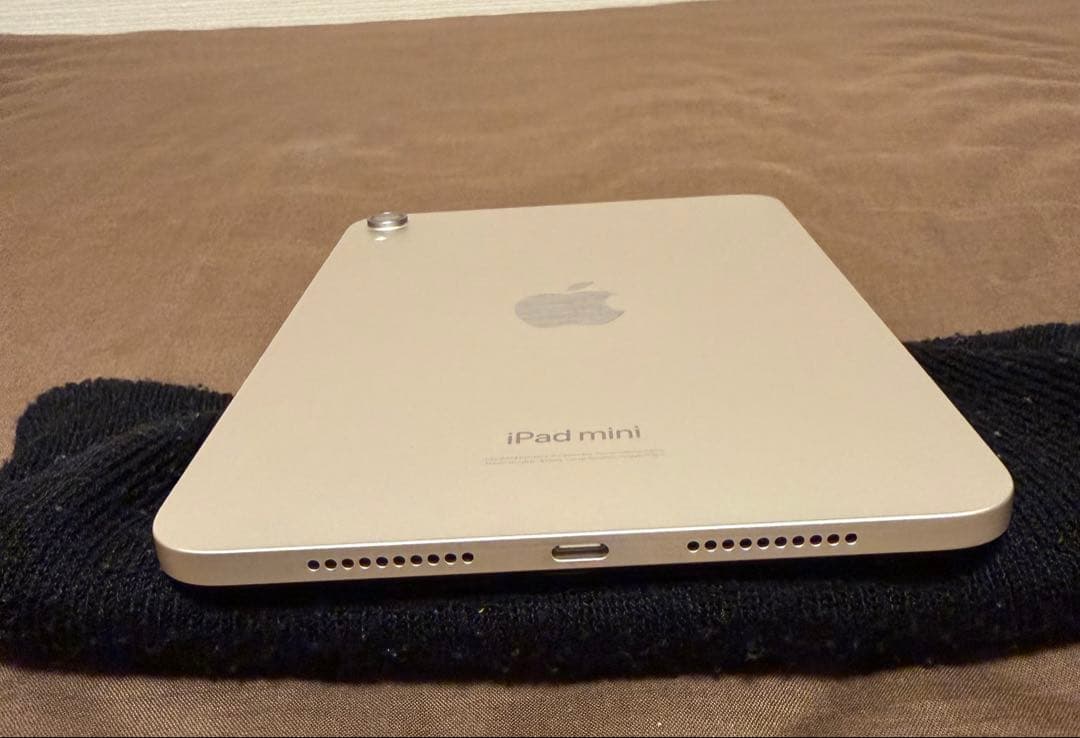 iPad本体 ipadminiA17pro256GB(wifi)+ApplePencilPro