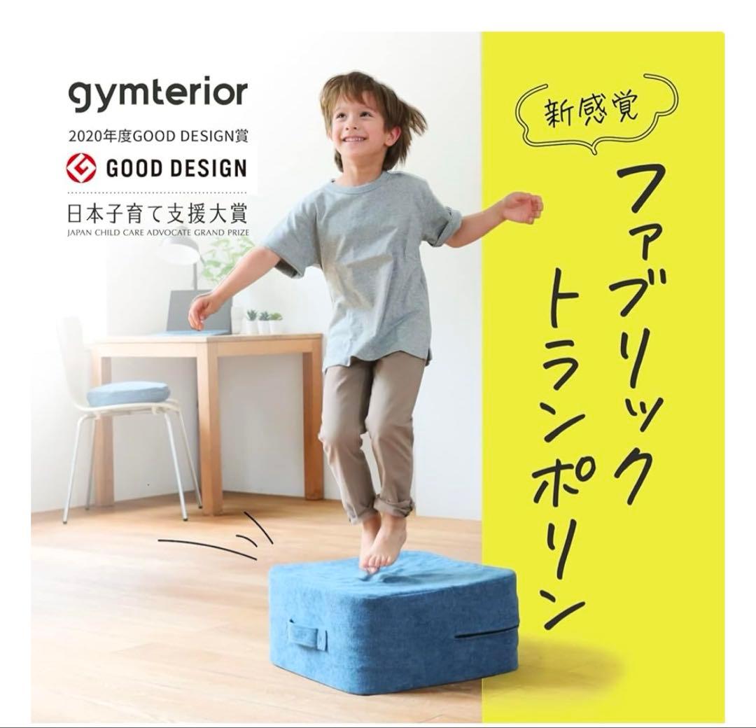ジムテリア　シェイプキューブ gymterior スカイブルー　新品