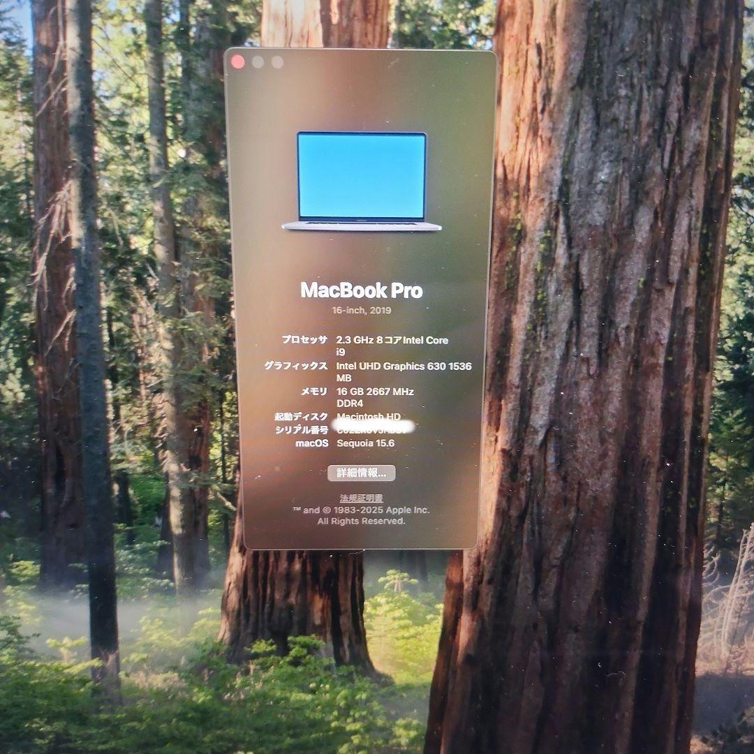 Y*a様 Apple MacBook Pro (2019) 本体16inch