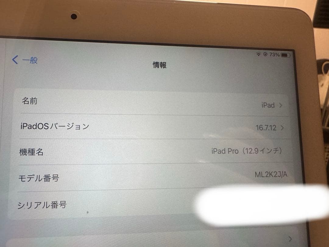 Apple iPad pro 12.9インチ ゴールド 本体 128GB
