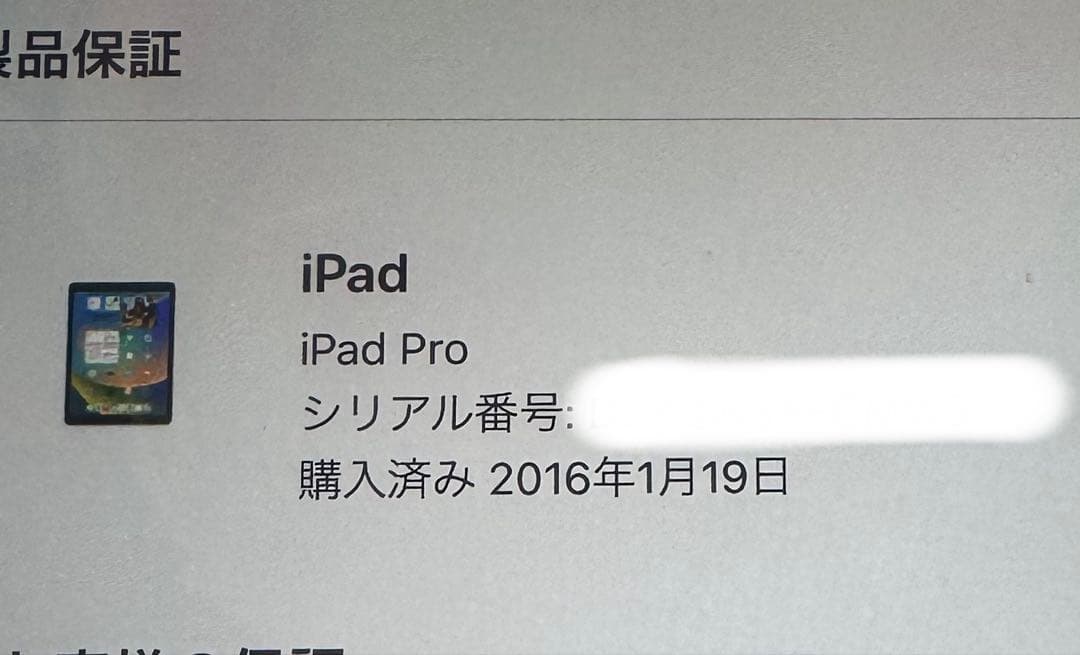 Apple iPad pro 12.9インチ ゴールド 本体 128GB