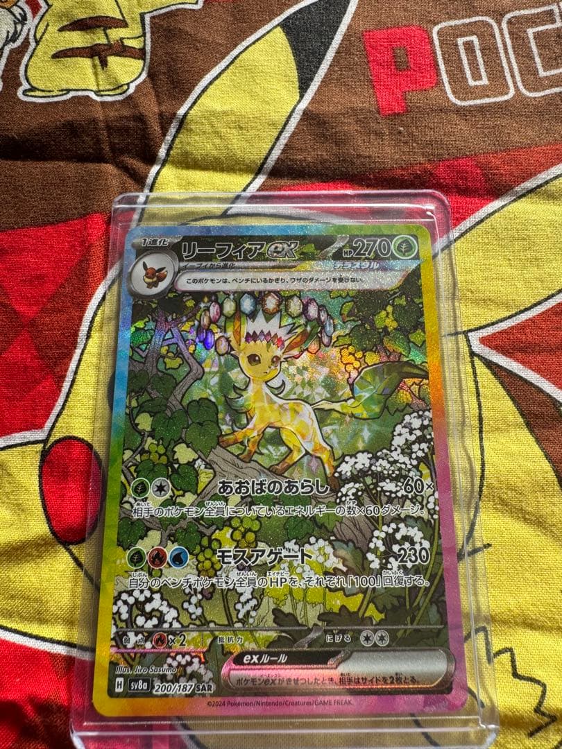 プ*中様 ポケモンカード テラスタル