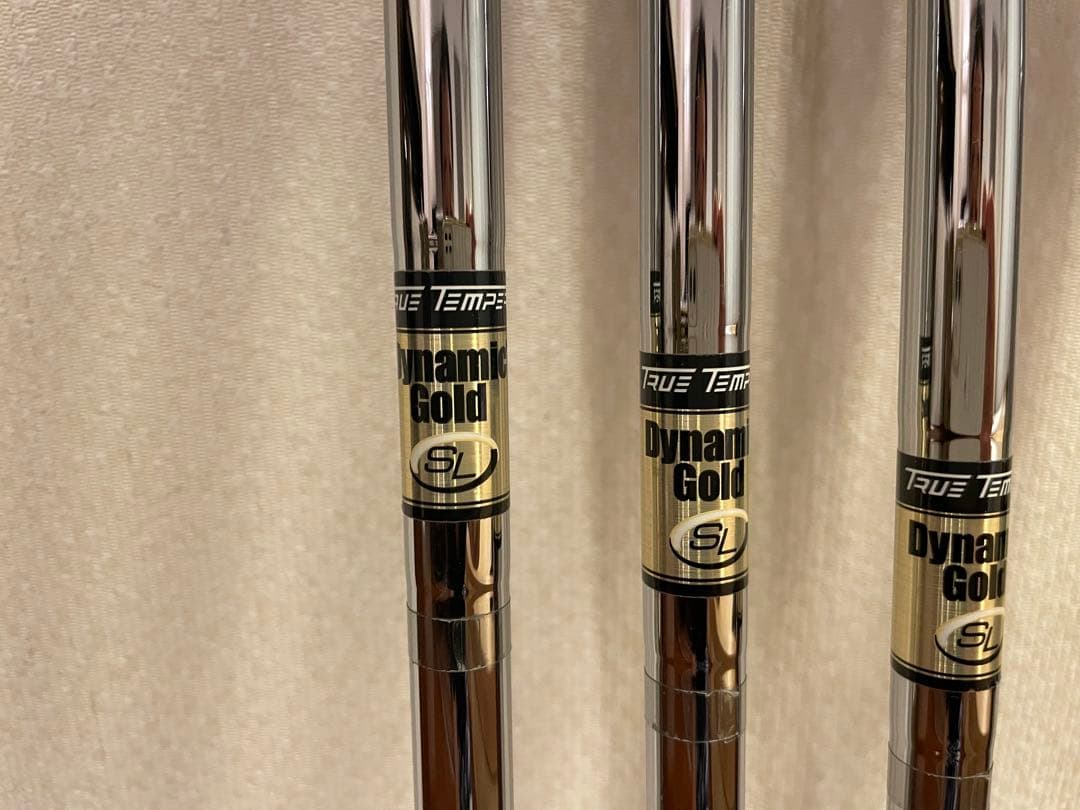 ダイナミックゴールドSL S300