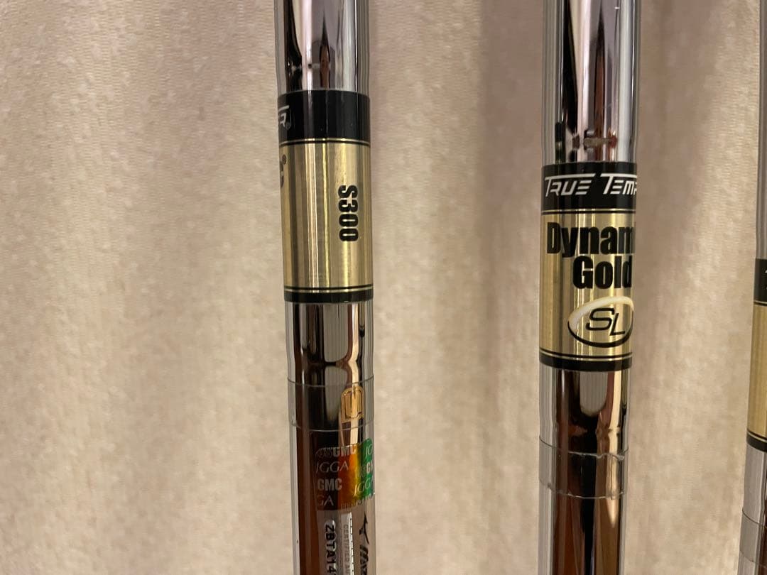 ダイナミックゴールドSL S300