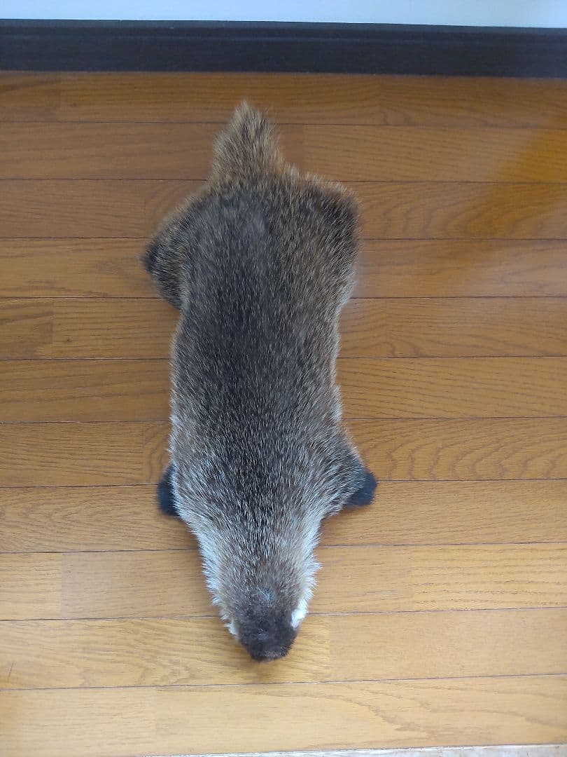 アナグマの鞣し毛皮[ハンドメイド]