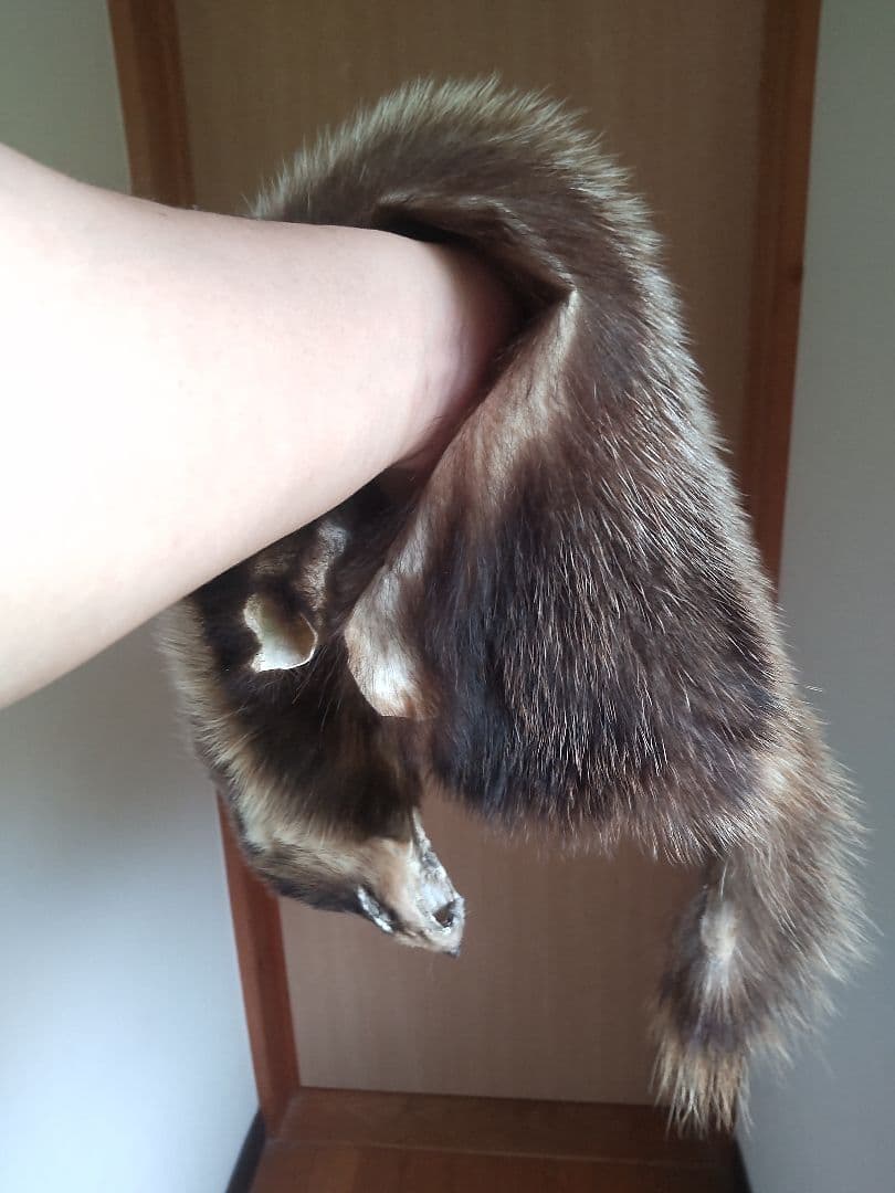 アナグマの鞣し毛皮[ハンドメイド]