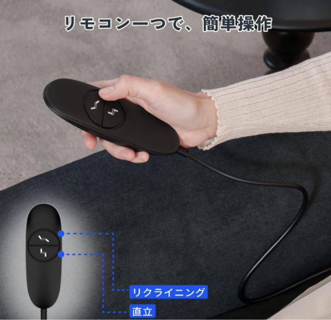 FLEXISPOT リクライニングチェア （ブラック）