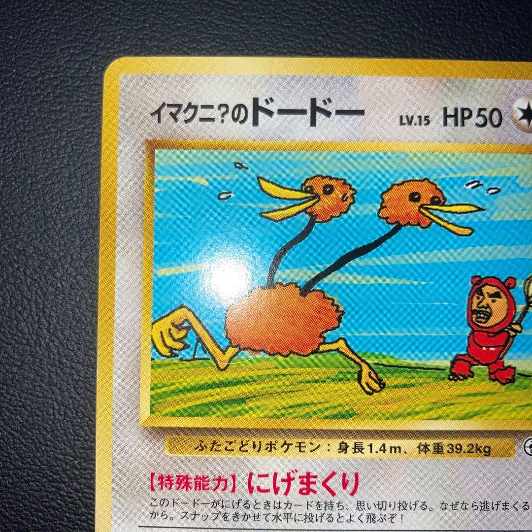美品　イマクニ？のドードー　プロモ　旧裏