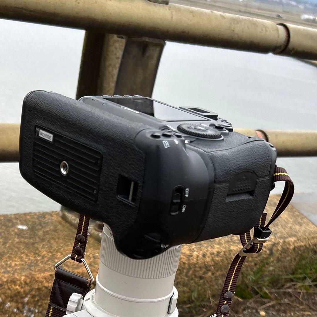 お早めに 動作確認済CANON EOS 5Ds BG-E11付属