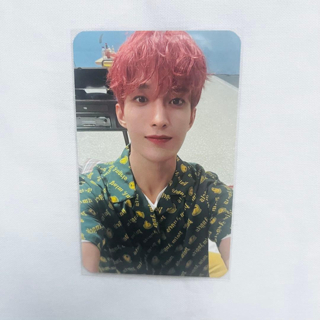 seventeen セブチ ドギョム　dk ブソクスン　BSS 特典トレカ