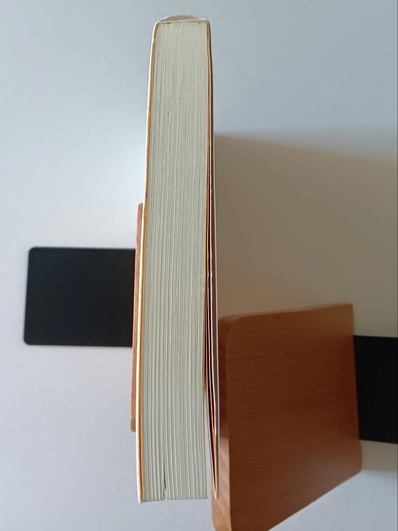 「成功曲線」を描こう。夢をかなえる仕事のヒント　 石原 明