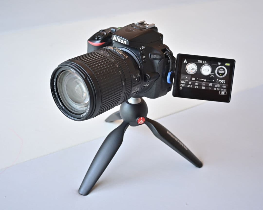 ニコン 一眼レフ D5500 18-140mm 55-200mm レンズセット