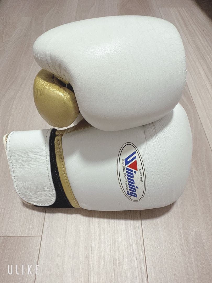 Winning ボクシンググローブ ホワイト/ゴールド