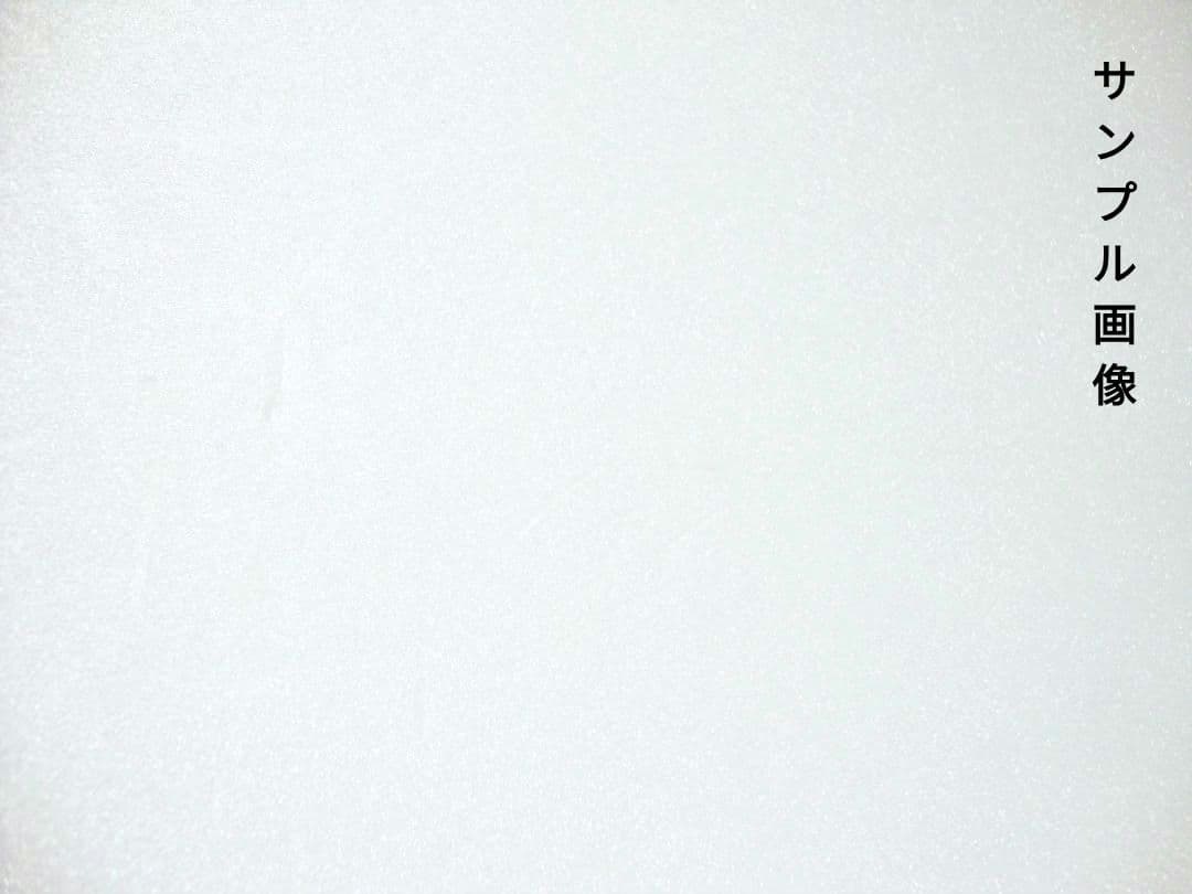 【作例掲載有】ソニー　DSC-W220　サイバーショット　CCDセンサー