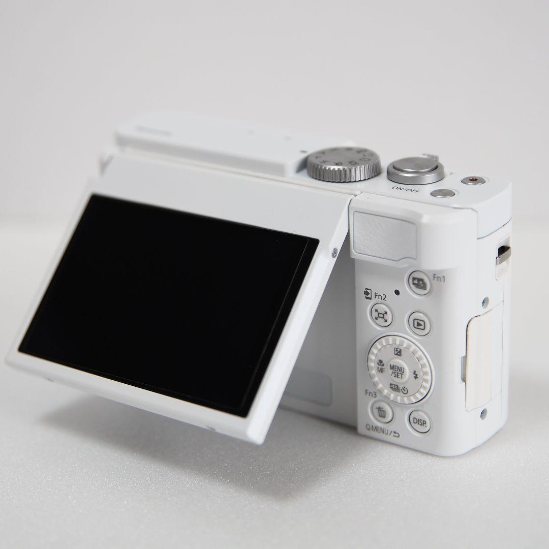 DC-TZ99 お得なセット超美品 シリコンカバー速写ストラップ保護フィルム2枚