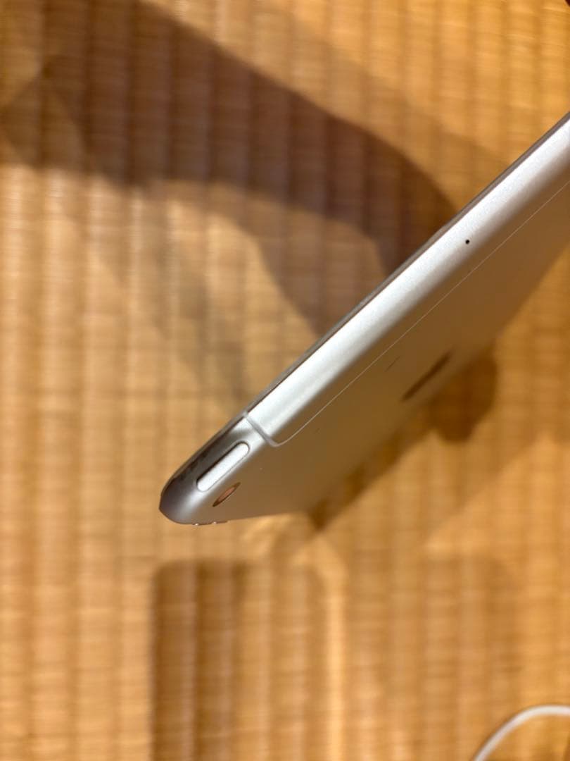 Apple iPad mini (第5世代) 256GB セルラーモデル