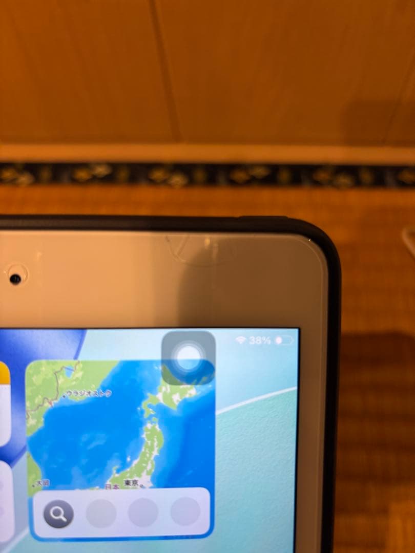 Apple iPad mini (第5世代) 256GB セルラーモデル