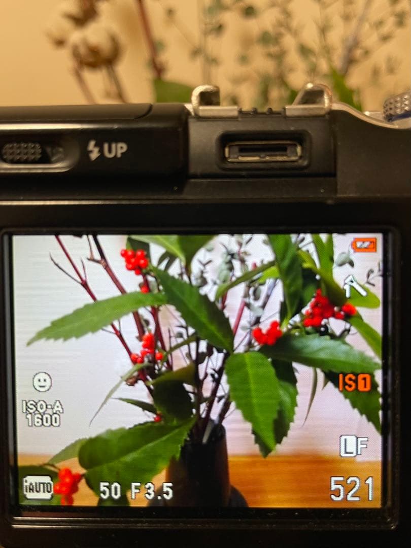 【個人所有】OLYMPUS PEN E-PL1 レンズほかセット ※訳あり