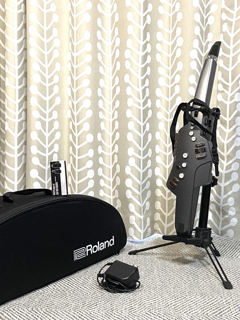 【期間限定セール】エアロフォン AE-10 新品マウスピース付き スタンド付き