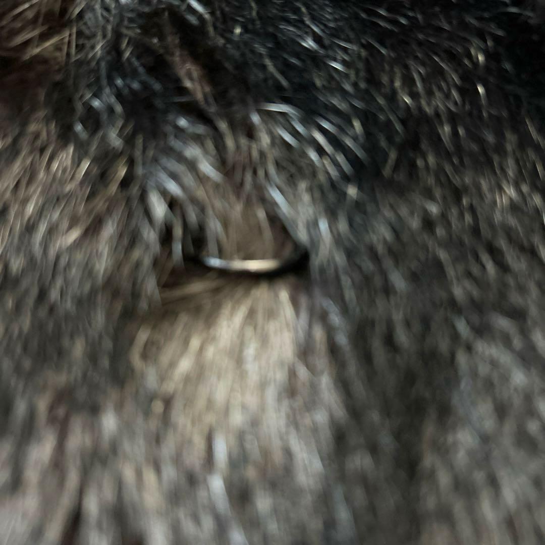 【SAGAMINK サガミンク】ファーコート（フリー）花刺繍　ブラック　銀タグ