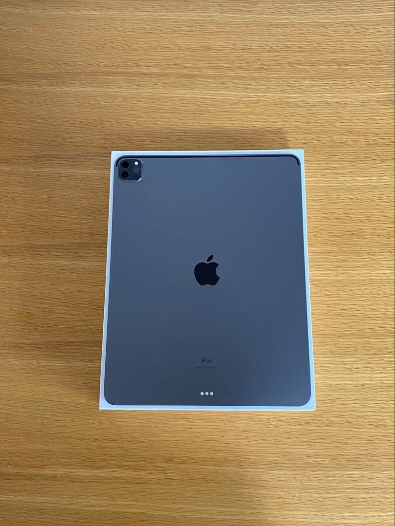 iPad Pro 第5世代　電池良好 iPad本体　難あり