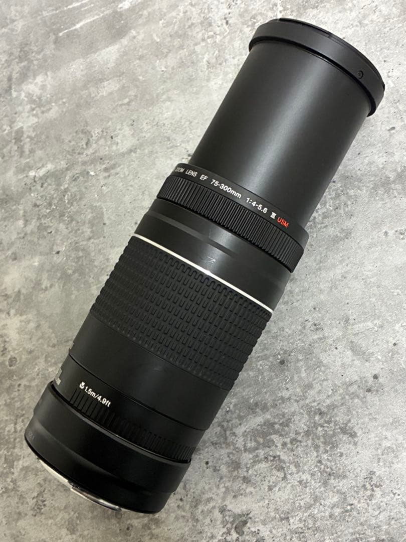 ⭐️美品⭐️Canon EF 75-300 III & EF-EOS R アダプター