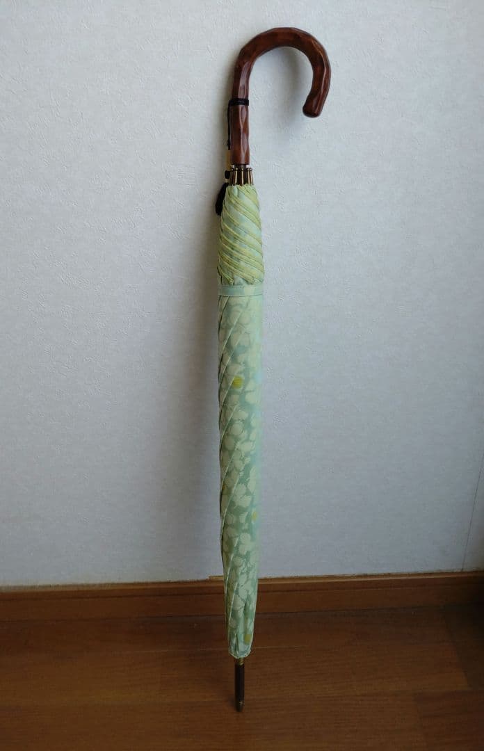 セール★レア★イイダ傘店★雨傘 野いちご グリーンベリー