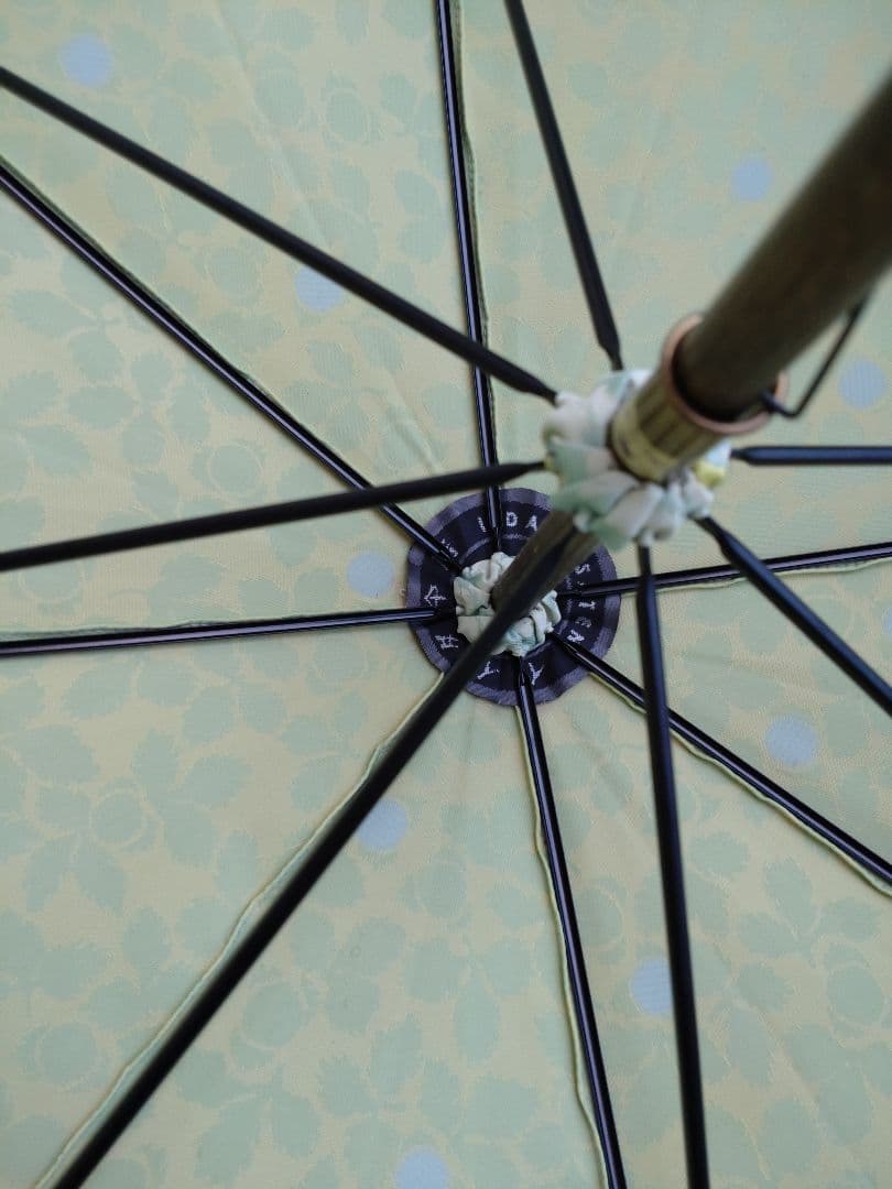 セール★レア★イイダ傘店★雨傘 野いちご グリーンベリー