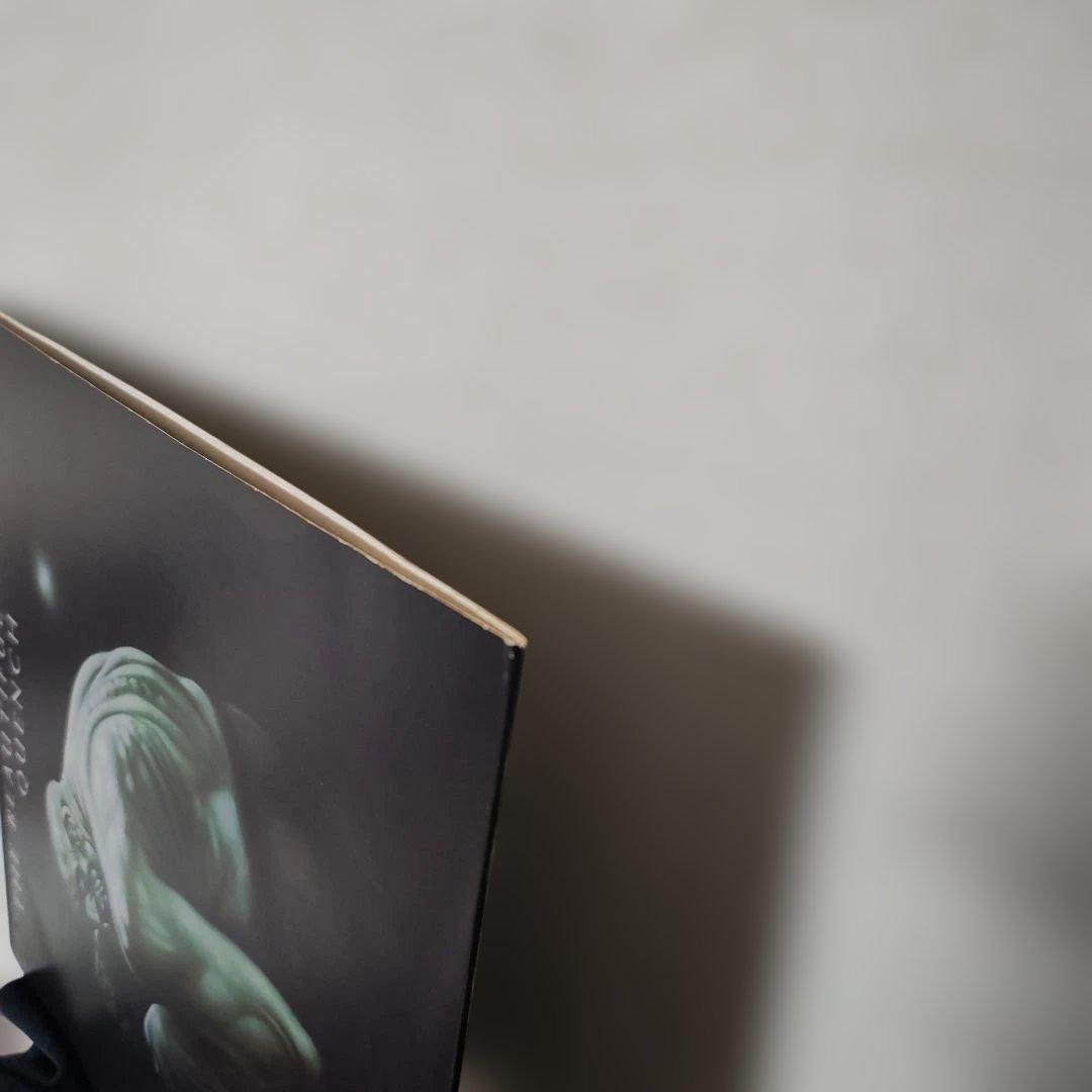 a*6様 THE BEAUTIFUL SOUTH QUENCH レコード