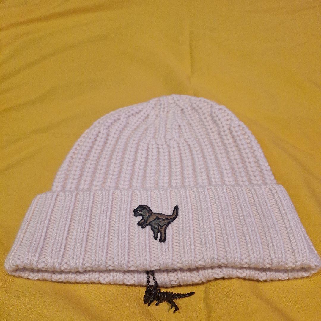 恐竜刺繍付きホワイトニット帽