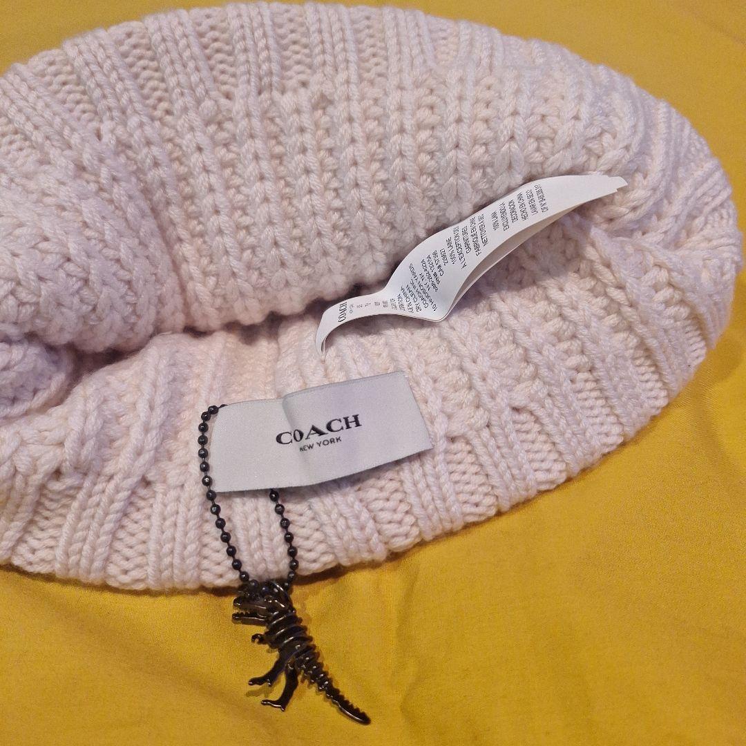 恐竜刺繍付きホワイトニット帽