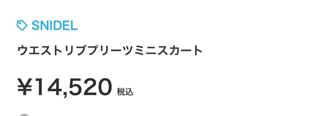 スナイデル新品未使用タグ付きスカート