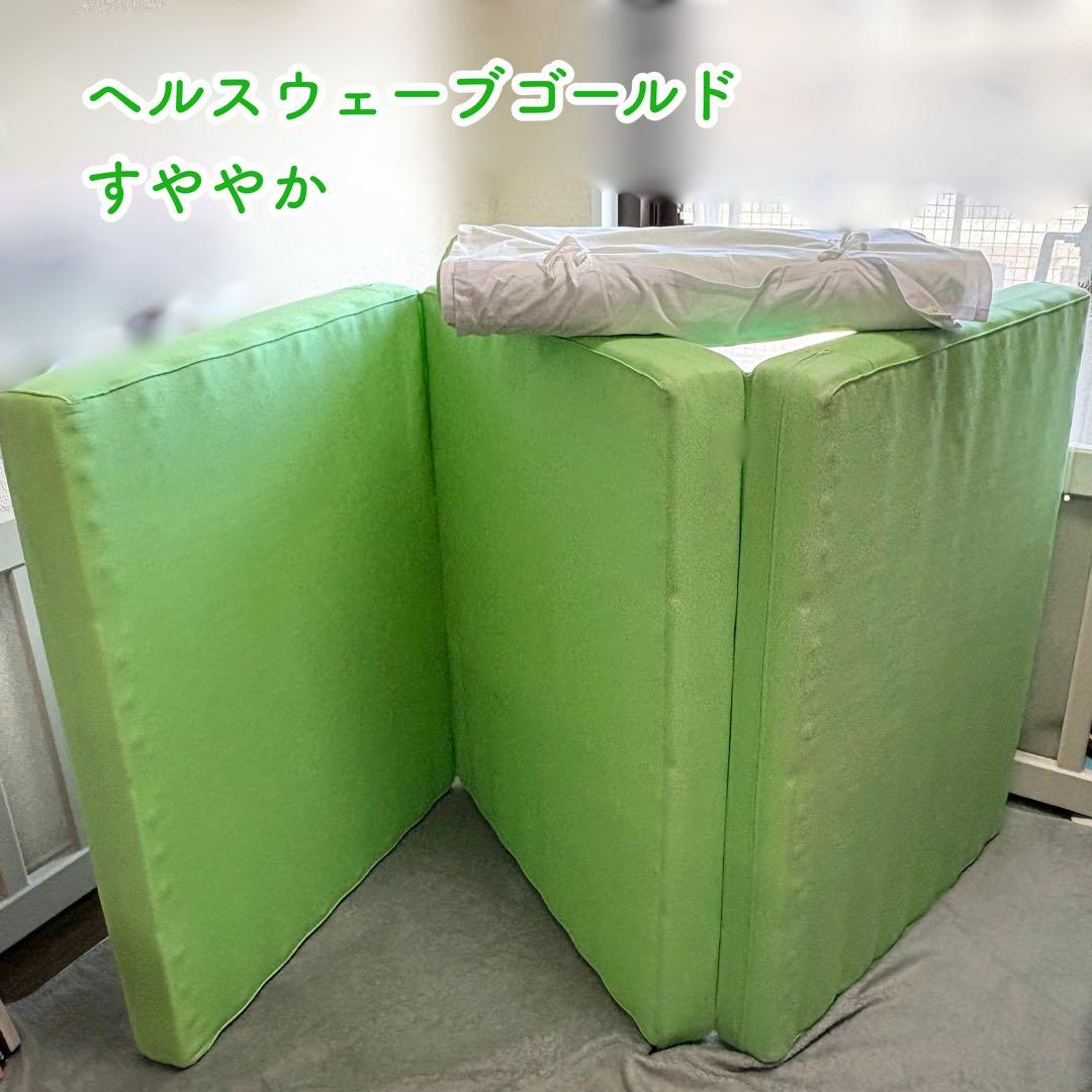 ヘルスウェーブゴールド ジュニア　& 専用キャリーバック