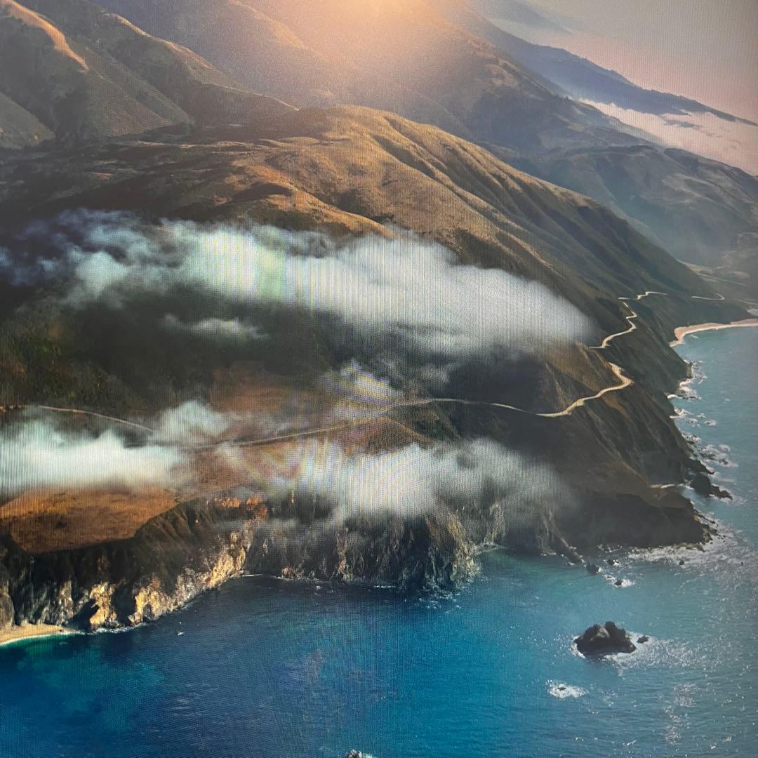 MSI モニター PRO MP2412 23.8インチ/フルHD/VAパネル/