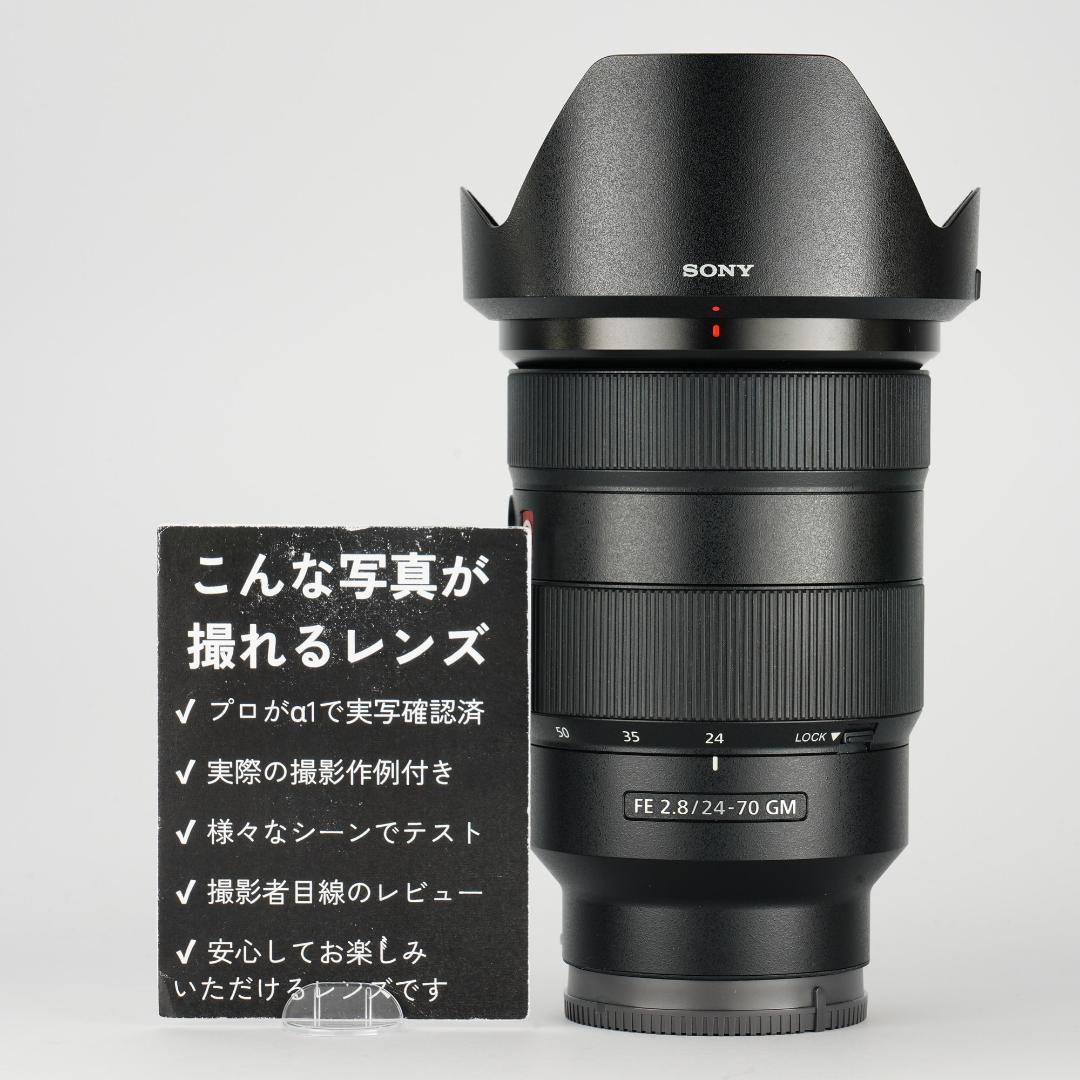 【テスト済安心】SONY SEL2470GM 大三元ズーム F2.8 131