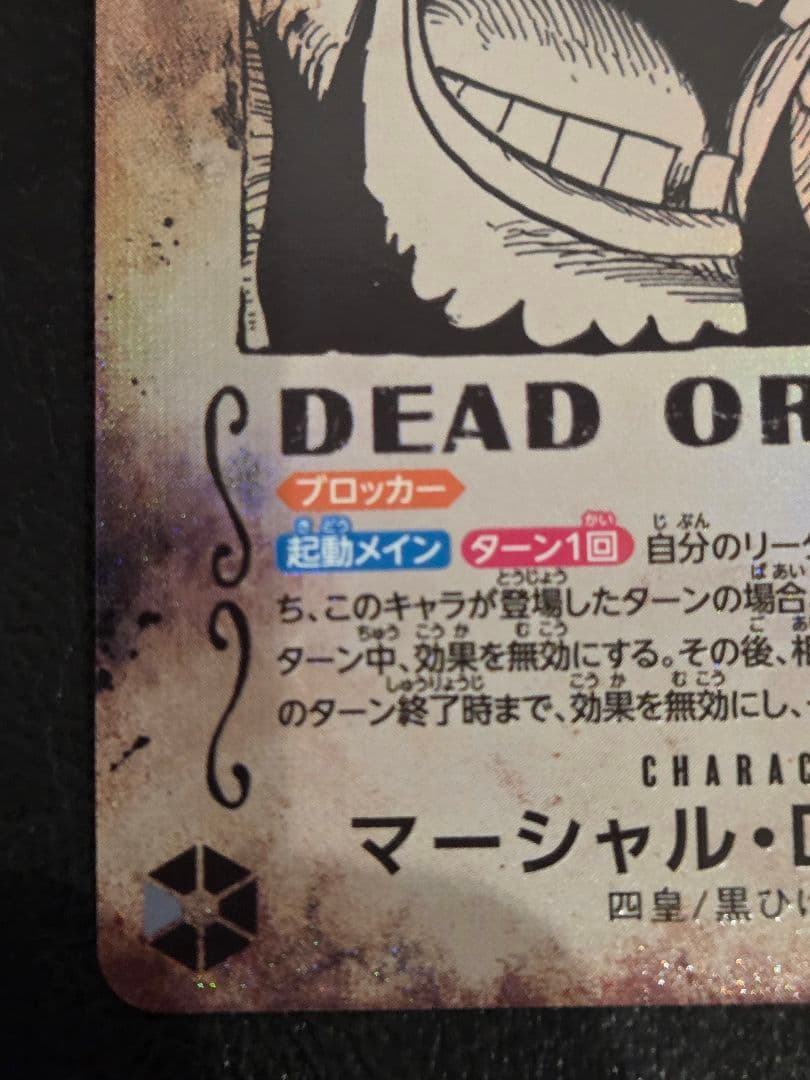 ティーチ　バギー　手配書　SP