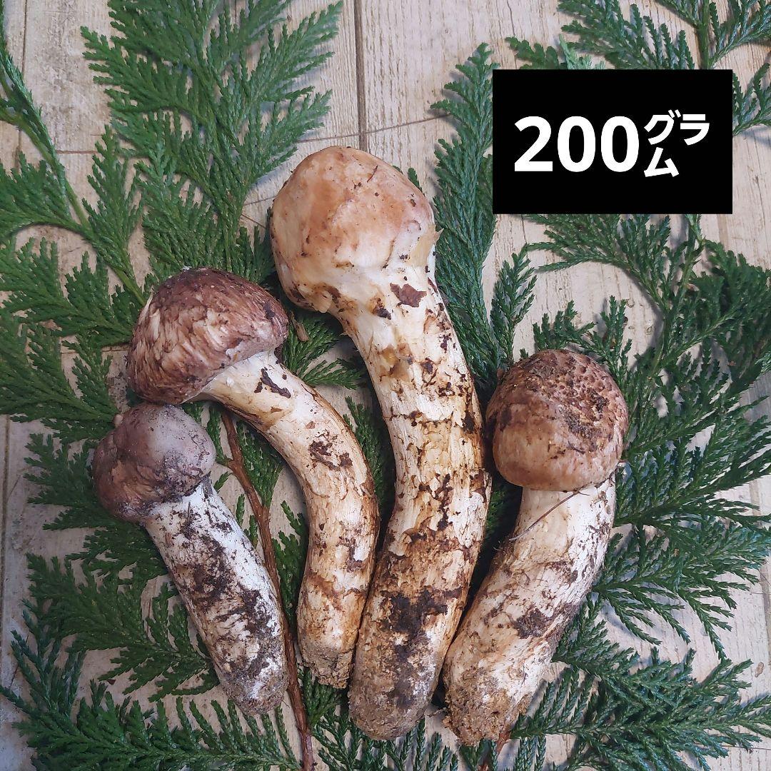 信州産♪松茸